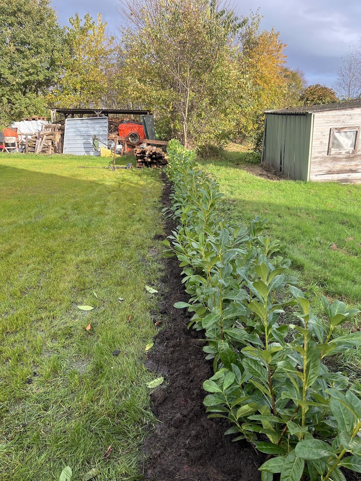 682f027337098