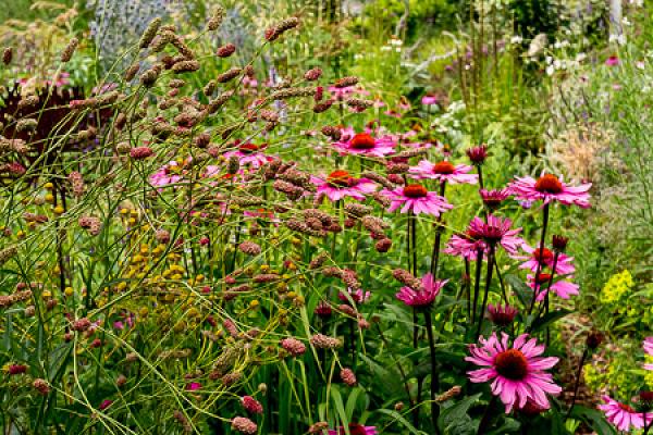 Garten Funke