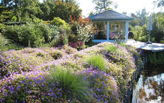 Wassergarten Meinhard