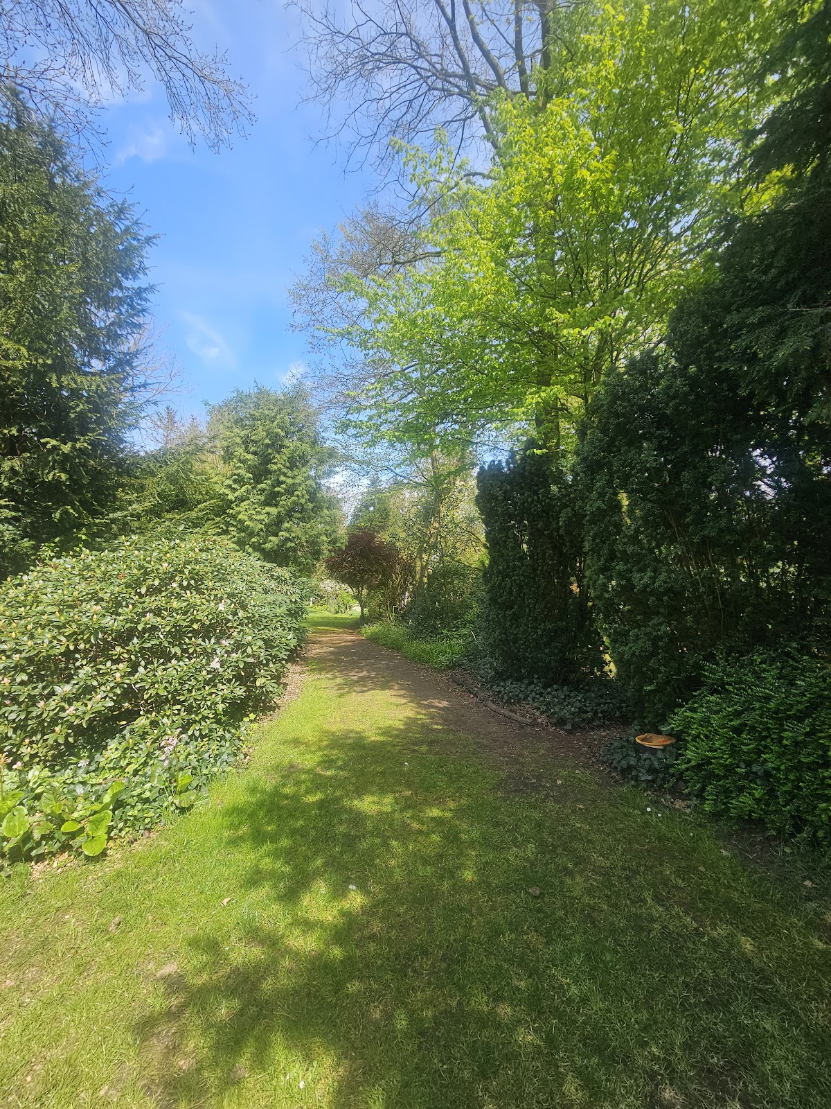 682f02f0907e7