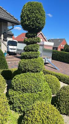 Hemmes Gartenpflege