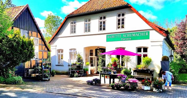 Babette Schumacher: Blumen, Garten & Wohnen
