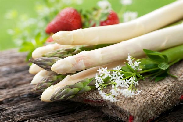 Spargelhof Thiermann