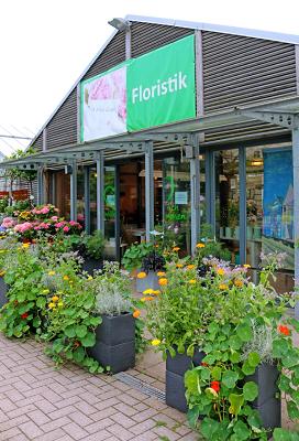 Blume & Co | Gärtnerei und Floristik bei Verden
