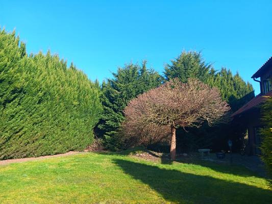 Dienstleistungen Bruns Garten- und Landschaftsbau