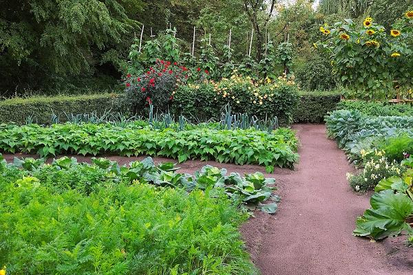 PflegeimGarten