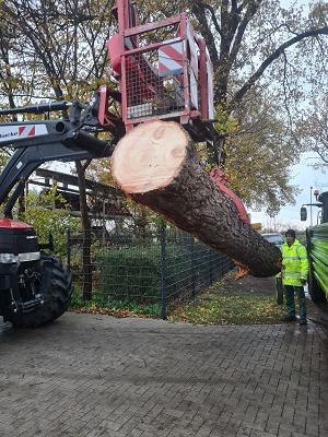Martfelder Umwelt Service Gmbh&co KG