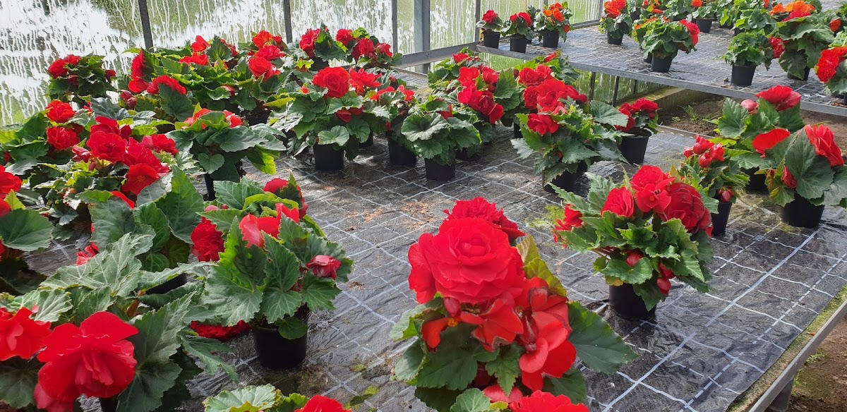 682f04405a354