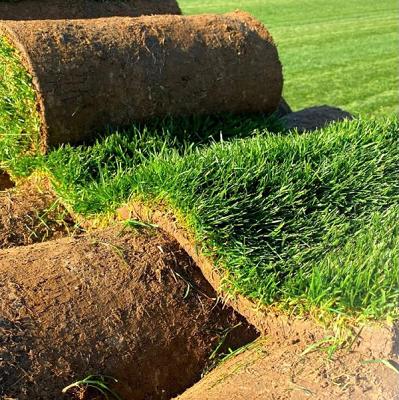 Winkelmann-Rollrasen (Abholhof)