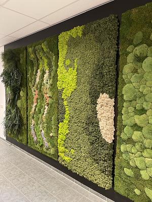 GREEN DESIGN by raimo