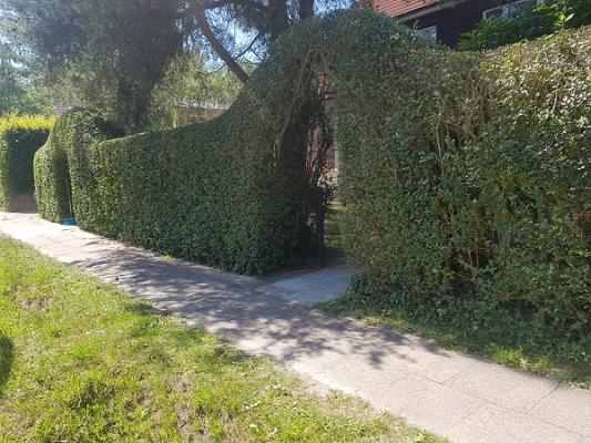 Zenel Babatinca Gartenservice