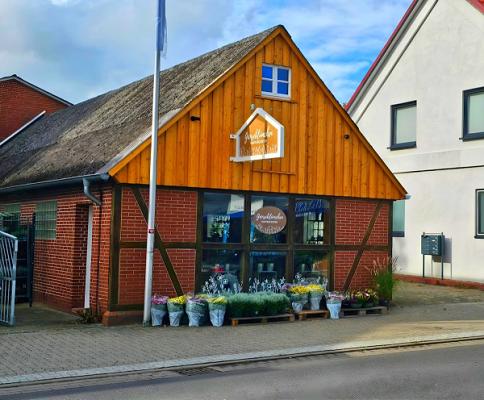 Gartencenter Gänseblümchen