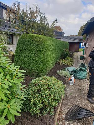 Gartenpflege Stefan Kückens