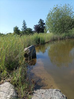 27619 Schiffdorf-Geestenseth, Holtackerweg 15