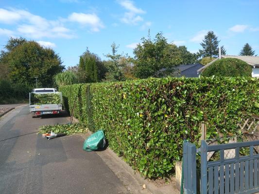 Gartenpflegeservice Geestland