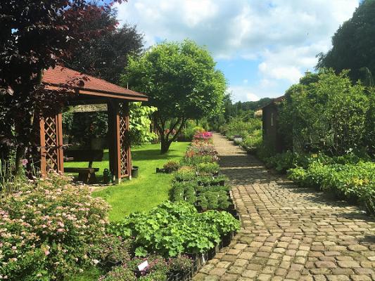 Küstenbaumschule / Küsten-Garten-Service