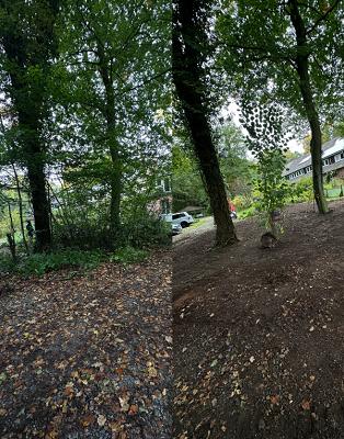 Samko Gartenpflege und Baggerarbeiten