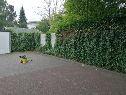 Garten & Landschaftspflege Tim Elksnat