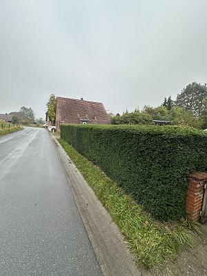 682f06b73fc9c