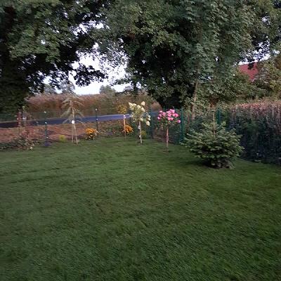 Milosz Drozdowski Garten- u. Landschaftsbau