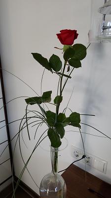 682f071f06803