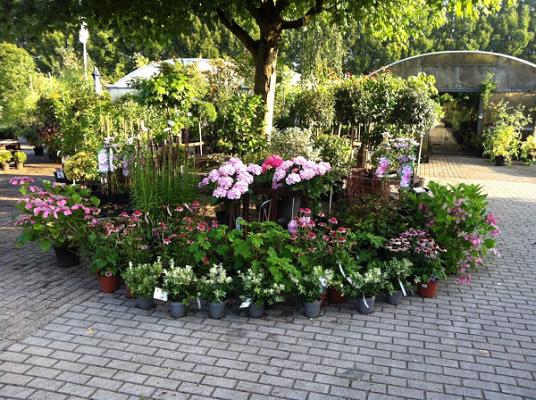 Wolters Garten- und Landschaftsbau • Qualitäts-Baumschulen
