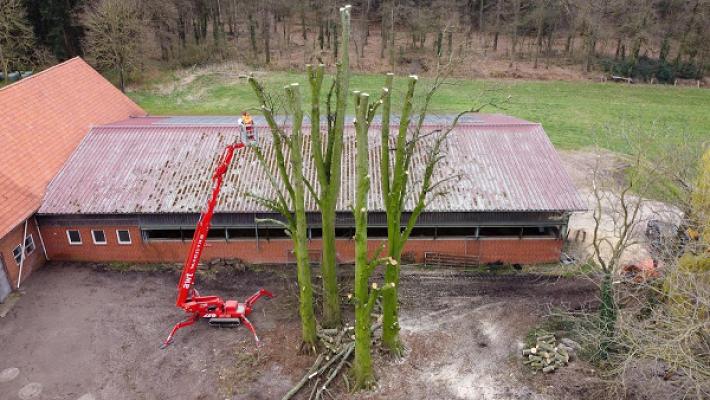 Syker Baum & Gartenservice