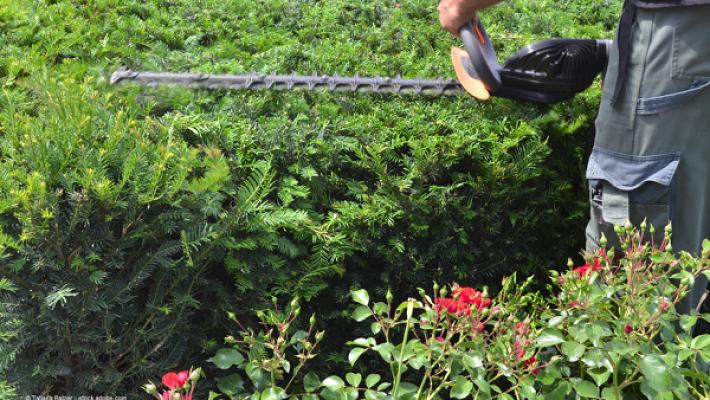 Haus- u. Gartenpflege Kosinski