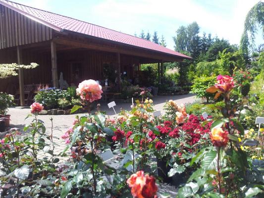 Baumschule Volkhard Brosy