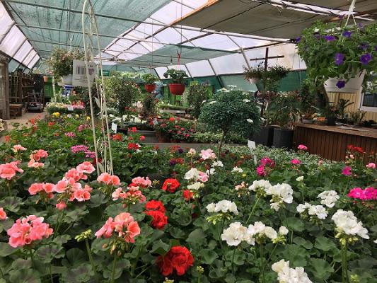 Dat Greune Eck, Inh. Björn Schieler | Hermannsburg