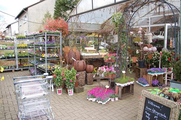 VILLMANN - Vielfalt in Pflanzen - Wietze