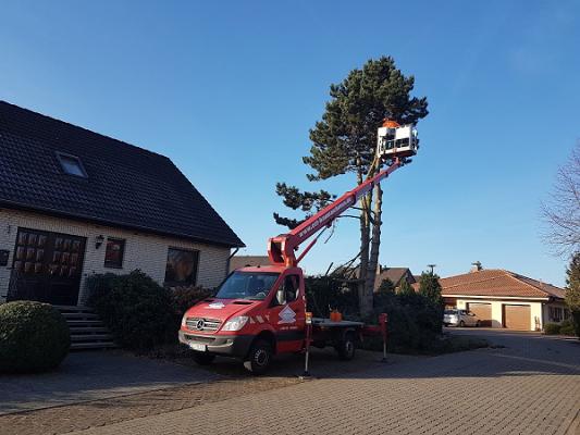 Garten und Landschaftsbau Waue
