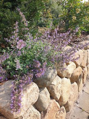 Blender Garten- und Landschaftsbau GbR