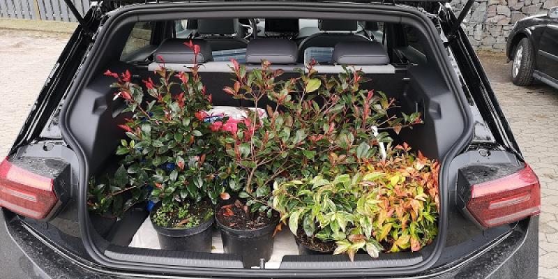 Wittinger Pflanzenhof & Fricke Garten- und Landschaftsbau GmbH & Co. KG, Heiko Fricke