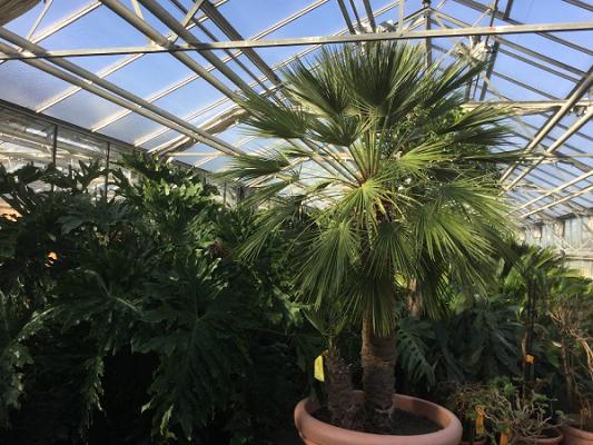 Rainer Müller Grüne Welt