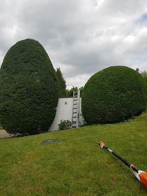 Pfälzer Gartenpflege