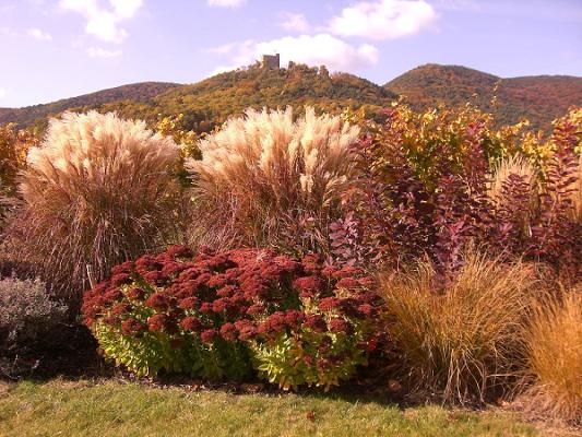 Gartengestaltung Plomer