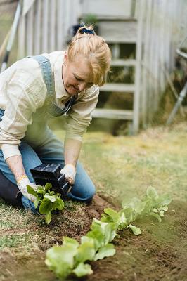 Die Gartenexperten