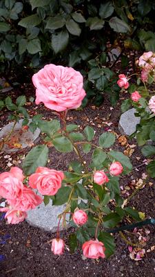 Alexander und Monika Blim