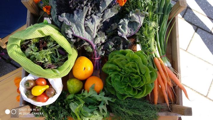 Weierhöfer Gartengemüse - Market Garden