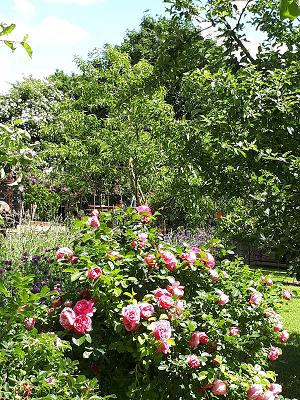 Gartenkunst Sigrid Rinne