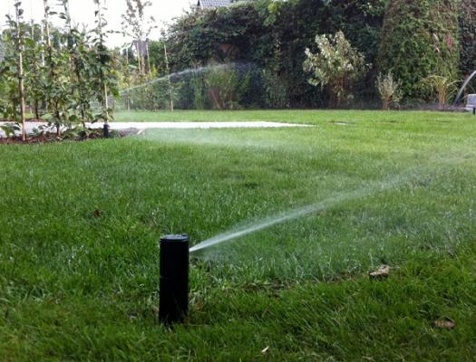 Baum- Management Vogt