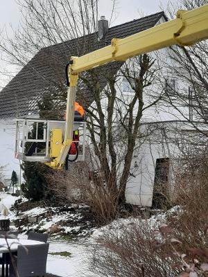 A-M Wirth Gartenbau + Gartenpflege