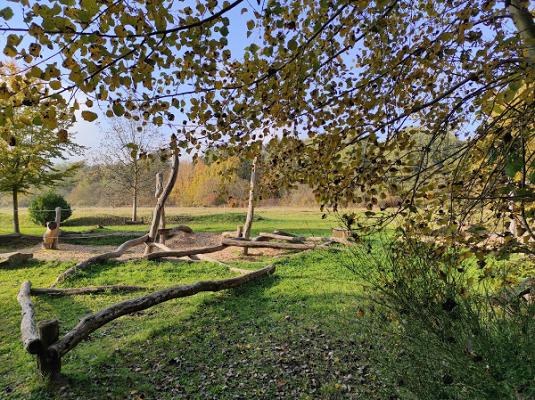 Kräutergarten Schwegenheim