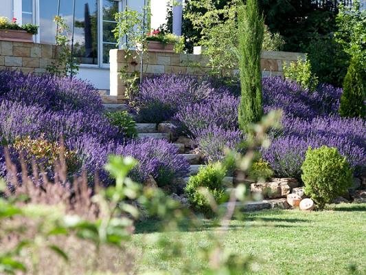 GRÜNFINK Gartengestaltung & Pflege