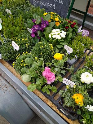 Grab und Gartenpflege Märdian