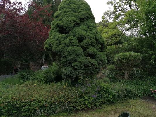 Haus und Garten Service Magomadov