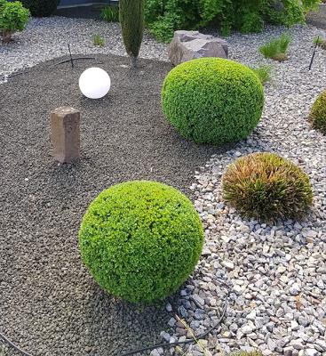 L&N-Dienstleistungen