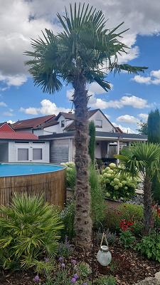 Alsa Pflanzen & Heider Gartenbau