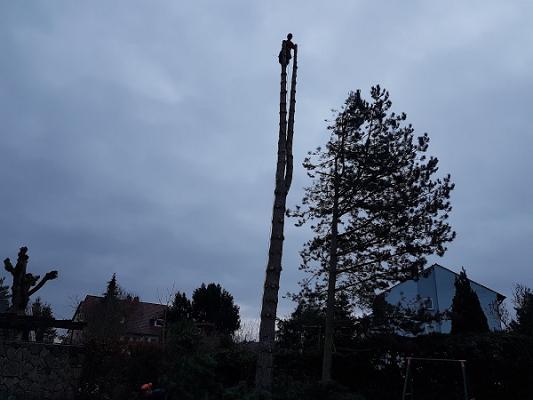 Stanke Garten- und Landschaftsbau GmbH